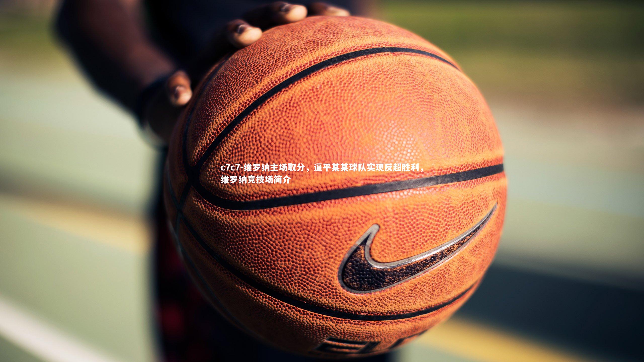 维罗纳主场取分，逼平某某球队实现反超胜利，维罗纳竞技场简介