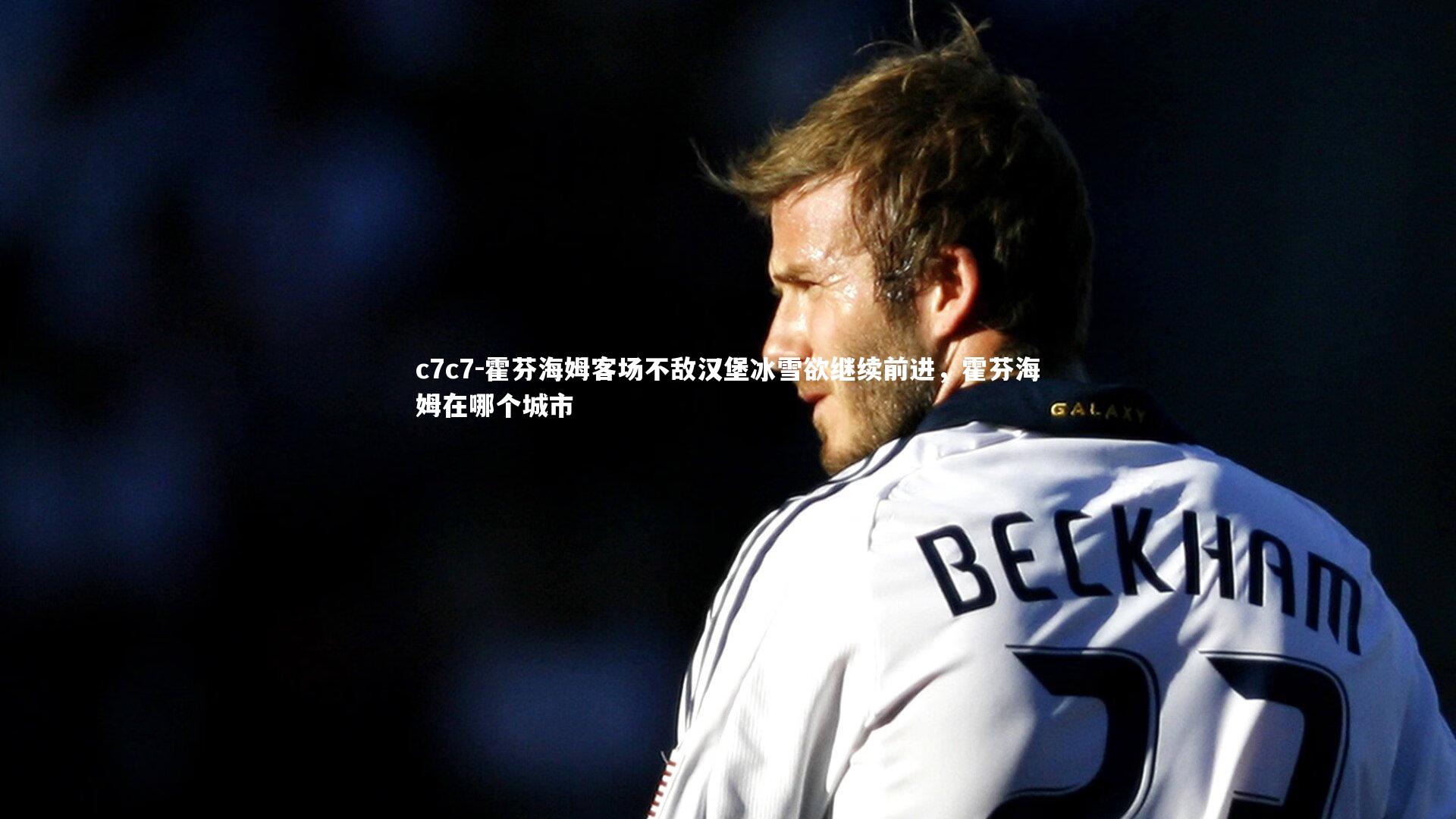 霍芬海姆客场不敌汉堡冰雪欲继续前进，霍芬海姆在哪个城市