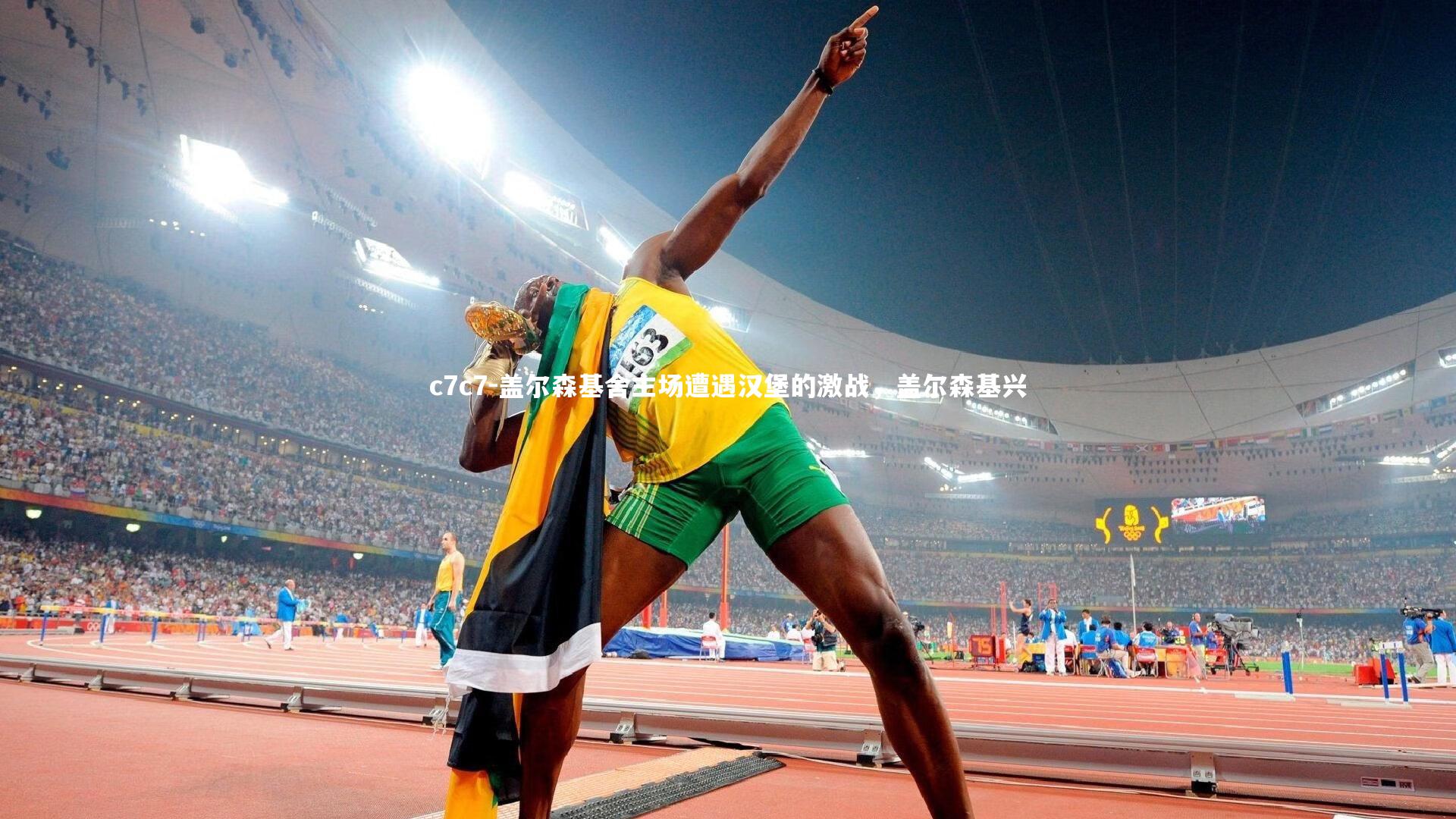 盖尔森基舍主场遭遇汉堡的激战,盖尔森基兴