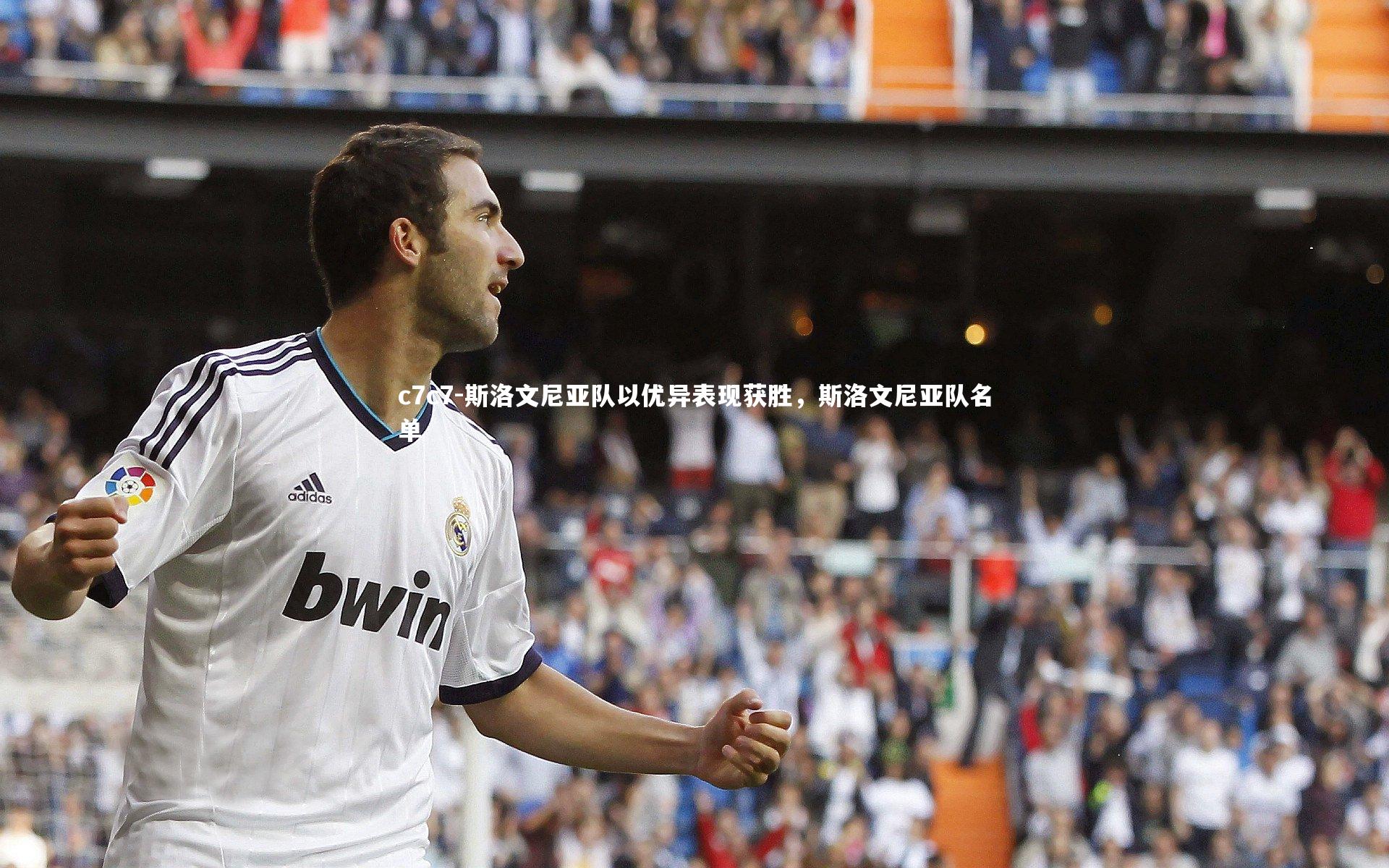 斯洛文尼亚队以优异表现获胜,斯洛文尼亚队名单