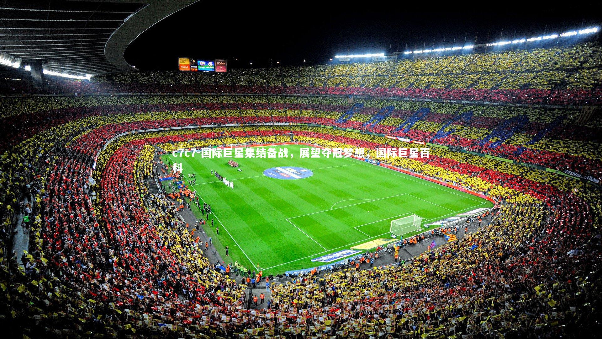 国际巨星集结备战,展望夺冠梦想,国际巨星百科