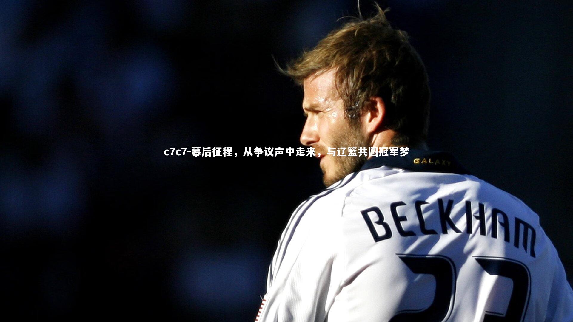 幕后征程,从争议声中走来,与辽篮共圆冠军梦